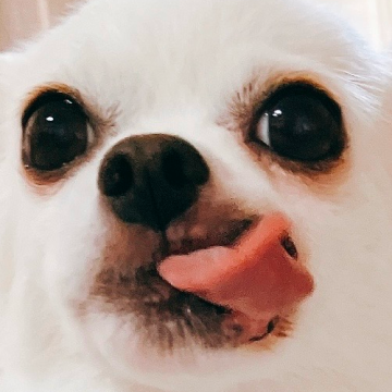 てらうち たかしさん